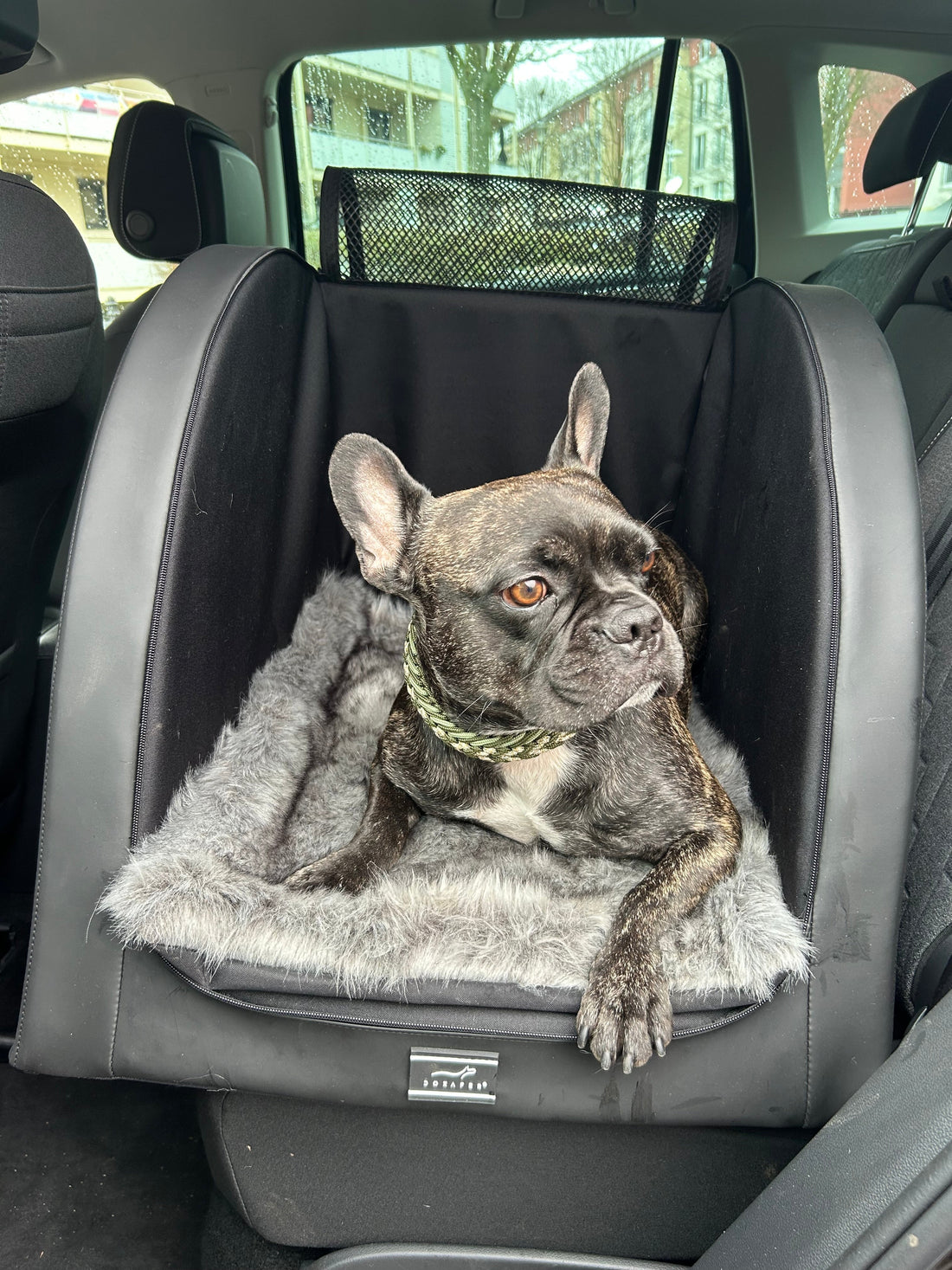 Warum-jeder-Hund-einen-Autositz-braucht-Sicherheit-Komfort-im-Auto DOXAFER®