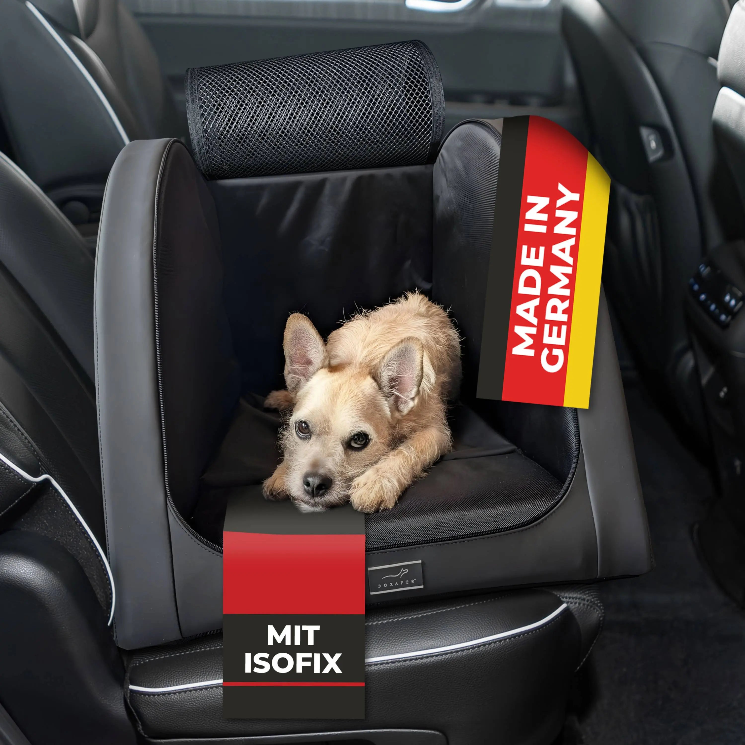 Bild mit Hund im DOXAFER®